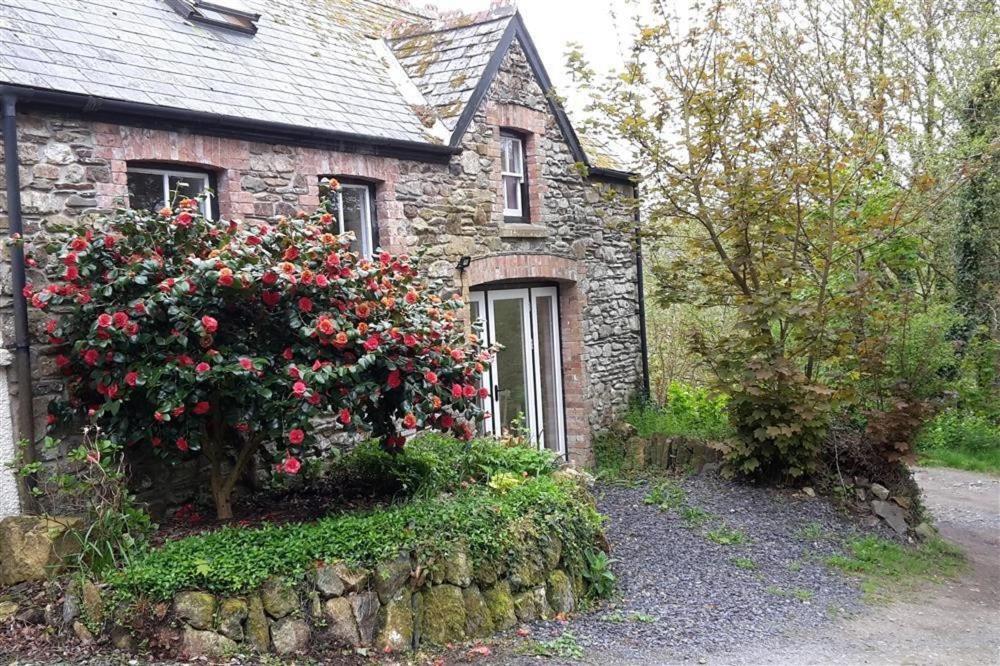 Cwmbrandy Cottage Fishguard Ngoại thất bức ảnh